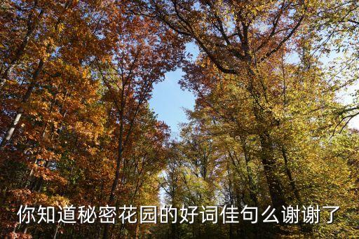 秘密花園好詞好句，秘密花園全部好詞摘抄
