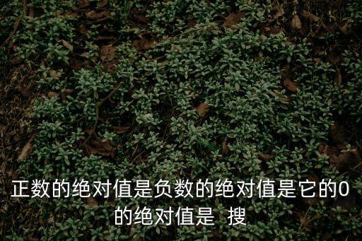 正數(shù)的絕對值是負數(shù)的絕對值是它的0的絕對值是  搜