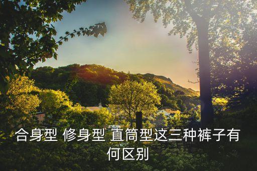 修身型，衣服的版型什么是修身型