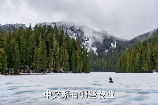 中文專業(yè)，中文系屬于哪個學(xué)科