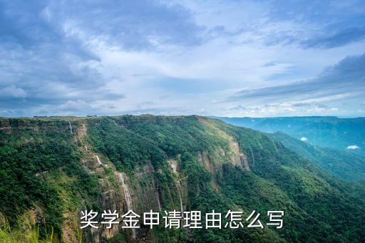 獎學金申請書200字，圓夢獎學金申請書怎么寫