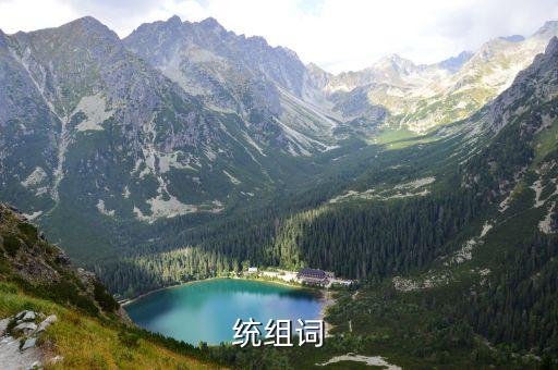 統的成語，統組詞