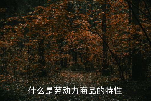 什么是勞動力商品的特性