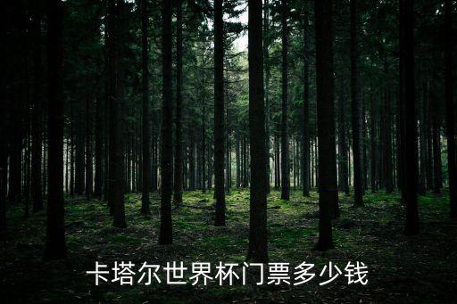 世界杯門(mén)票，世界杯門(mén)票