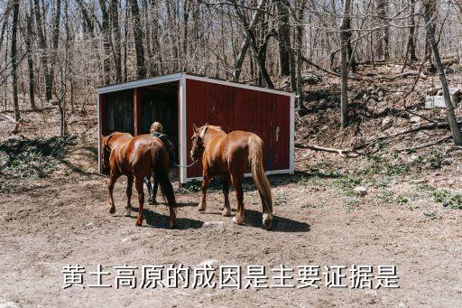 黃土高原成因，黃土高原的成因是主要證據是