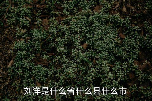 劉洋簡歷，劉洋是什么省什么縣什么市