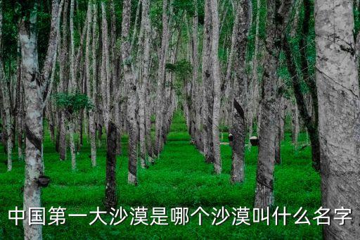 中國最大的沙漠，中國最大的沙漠是哪個啊
