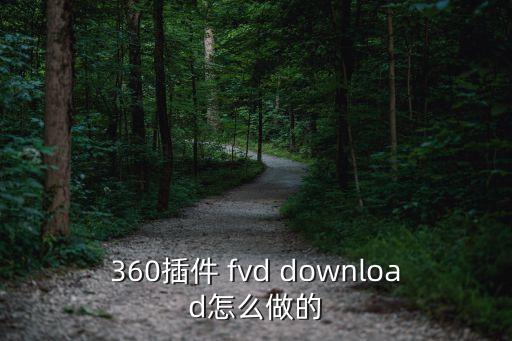 360插件 fvd download怎么做的