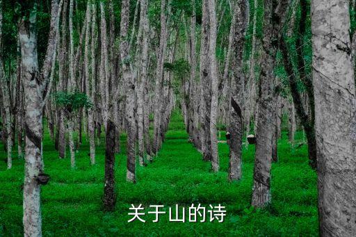 寫(xiě)山的詩(shī)句，要寫(xiě)山的詩(shī)