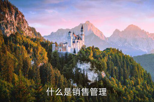 什么是銷售管理