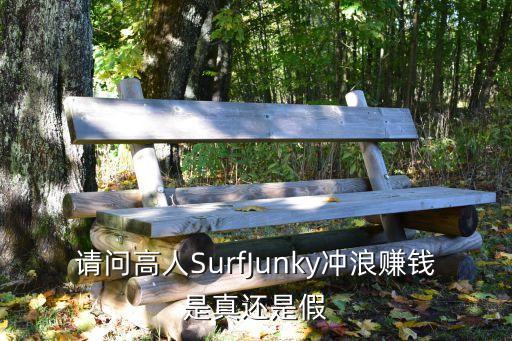 網上沖浪賺錢，請問高人SurfJunky沖浪賺錢是真還是假