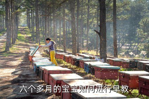 6個月寶寶早教，六個月寶寶早教方法 怎么教6個月寶寶