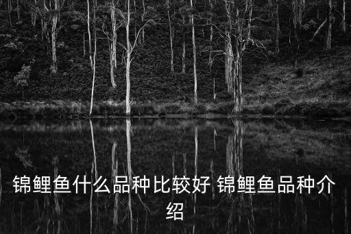 錦鯉魚什么品種比較好 錦鯉魚品種介紹
