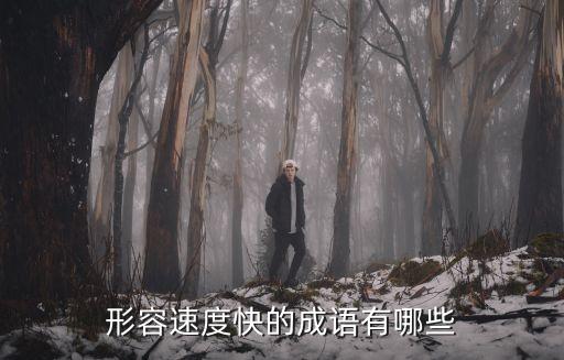 表示速度快的成語，有關(guān)速度快的成語