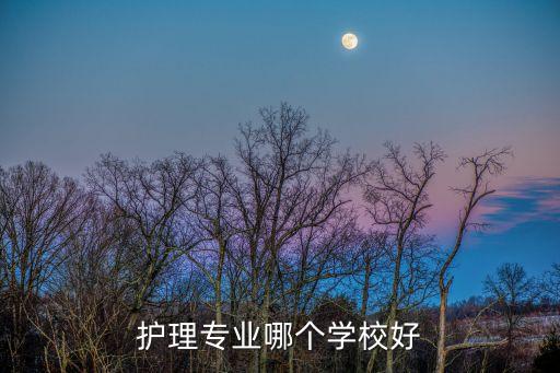 護理專業排名，全國護理學大專學院排名
