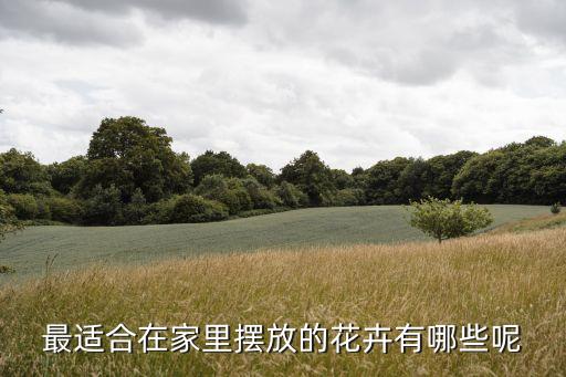 最適合在家里擺放的花卉有哪些呢