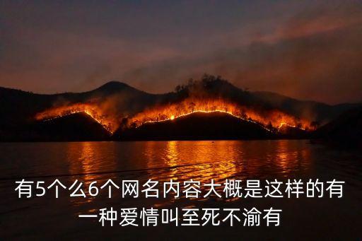 你行我素，我行我素的意思