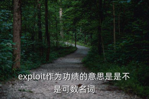exploit，exploit是計(jì)算機(jī)中的一種黑客程序嗎