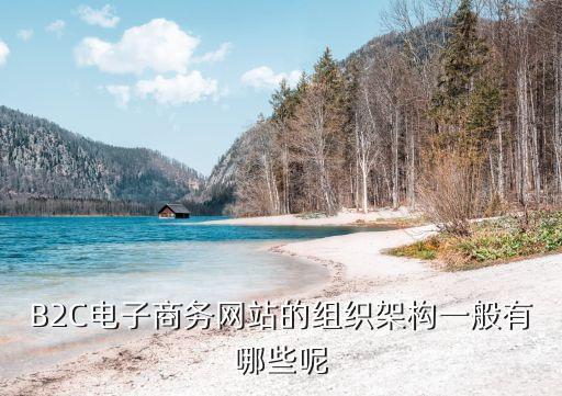 電商公司組織架構，B2C電子商務網站的組織架構一般有哪些呢