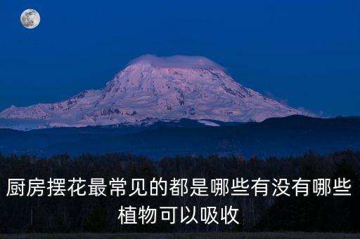擺花，廚房擺花最常見的都是哪些有沒有哪些植物可以吸收