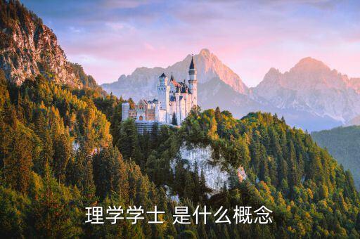 理學學士，理學學士 是什么概念