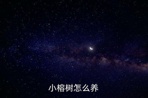 小榕樹，小榕樹怎么養