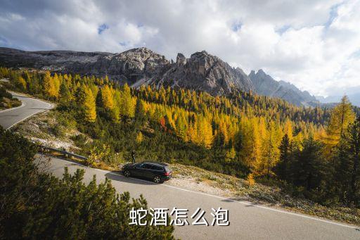 蛇酒怎么泡