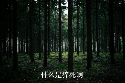猝死是什么意思，什么是猝死啊