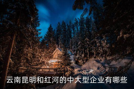 云南昆明和紅河的中大型企業有哪些