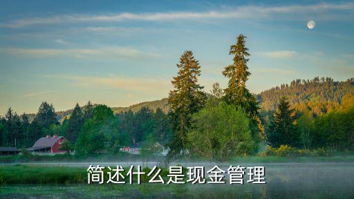 簡述什么是現金管理