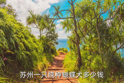 蝴蝶犬價(jià)格，有誰(shuí)知道蝴蝶犬的價(jià)格