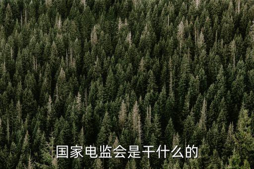 電監會，國家電監會是干什么的