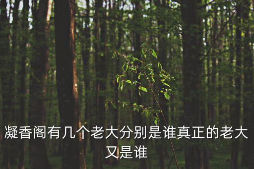 丁香閣，哪里有可以買書(shū)法或字畫(huà)裱框的地方