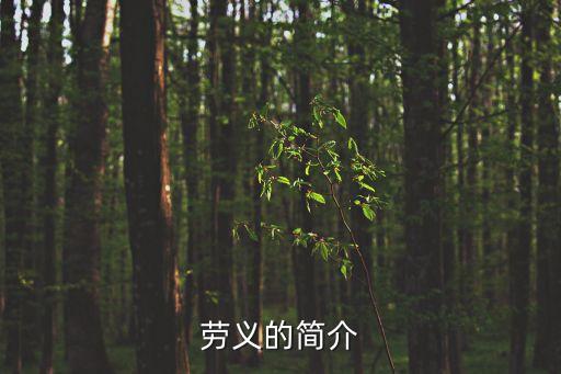 勞義，勞義的簡介