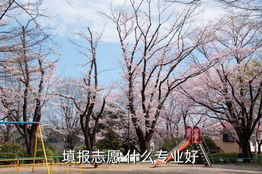 高考報考專業，填報志愿 什么專業好
