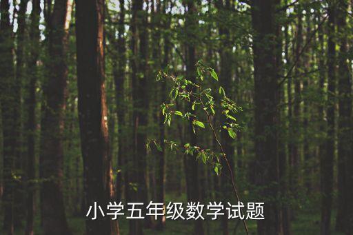 五年級數(shù)學(xué)試卷，小學(xué)五年級數(shù)學(xué)試題