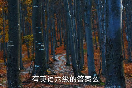 有英語六級的答案么