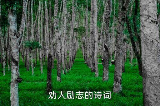 勵(lì)志的詩(shī)，勸人勵(lì)志的詩(shī)詞