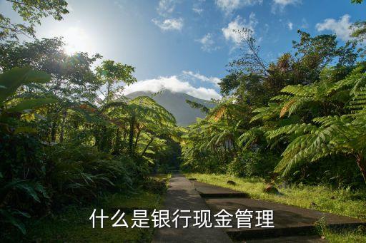 現金管理，簡述什么是現金管理