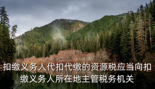 扣繳義務(wù)人代扣代繳的資源稅應(yīng)當(dāng)向扣繳義務(wù)人所在地主管稅務(wù)機關(guān)