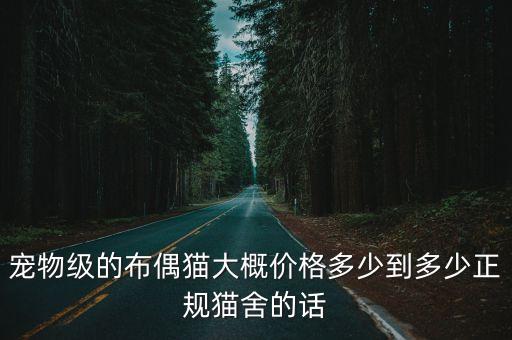 寵物級的布偶貓大概價格多少到多少正規貓舍的話