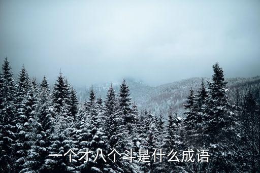 一個才八個斗是什么成語