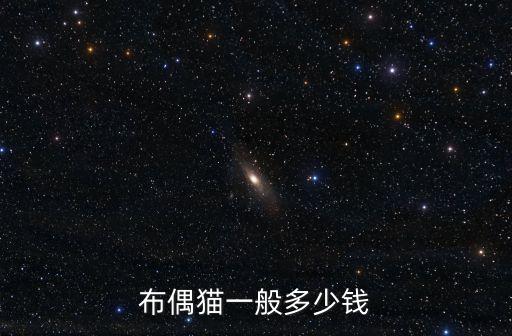 布偶貓一般多少錢