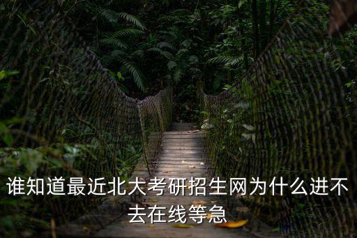 誰知道最近北大考研招生網為什么進不去在線等急