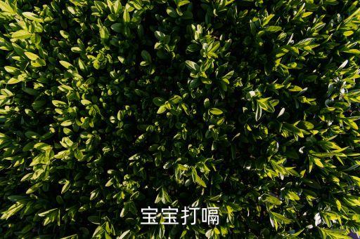 寶寶打嗝