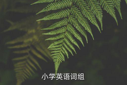 小學英語詞組