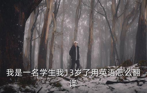 我是一名學(xué)生我13歲了用英語怎么翻譯