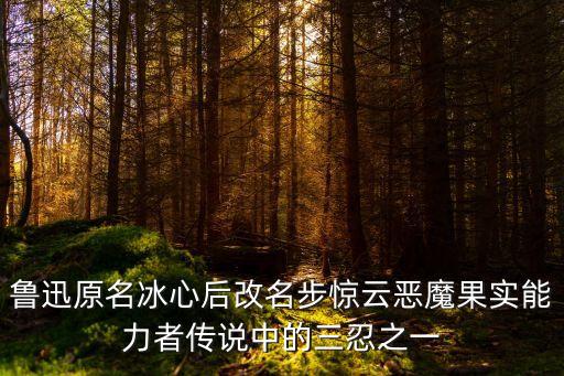 魯迅原名冰心后改名步驚云惡魔果實(shí)能力者傳說(shuō)中的三忍之一