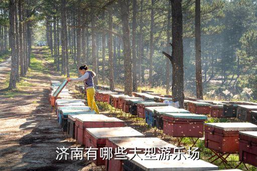 濟南有哪些大型游樂場