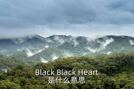 黑色的心，Black Black Heart是什么意思
